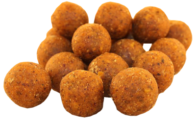TASTY Baits Scopex boilies 20mm/1kg 